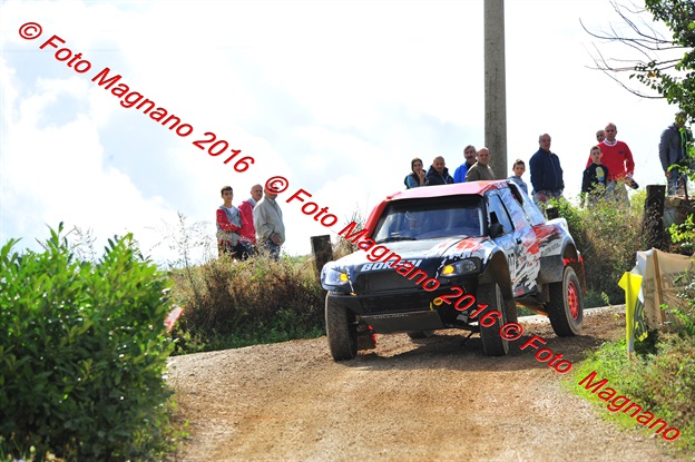 DSC_7474.JPG